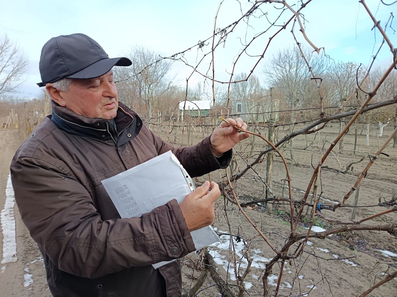 Jól jött a fagy és a hó a mezőgazdaságnak <small>(youtube)</small>