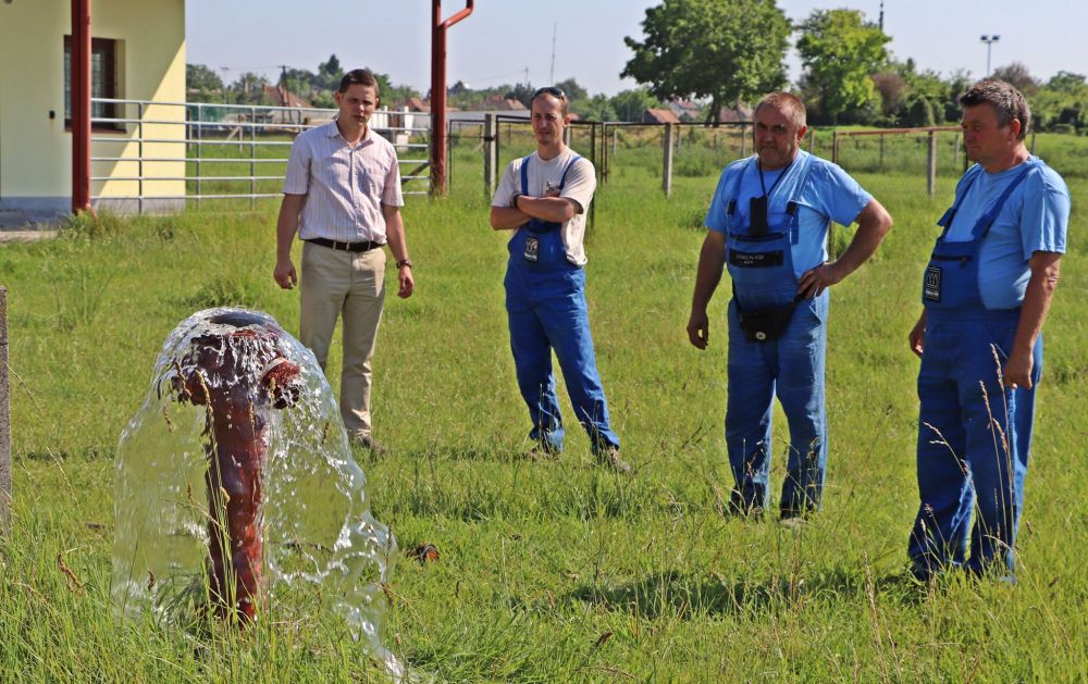 Megkezdődött a hálózattisztítás Jánoshalmán